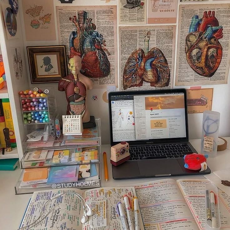 Asesorias Médicas